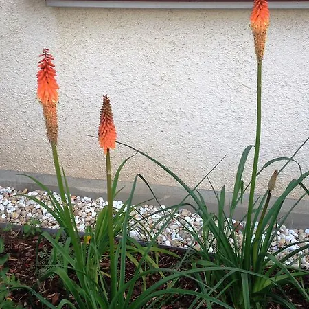 Hotel Zur Kanone Tautenhain