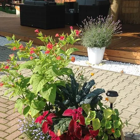 Zur Kanone Tautenhain