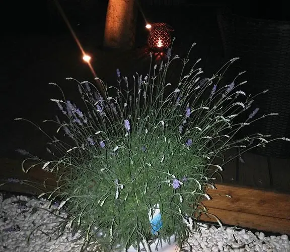 Hotel Zur Kanone Tautenhain