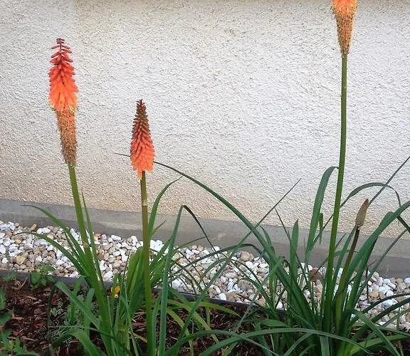 Hotel Zur Kanone Tautenhain