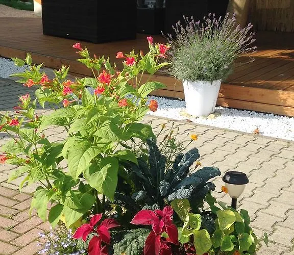 Zur Kanone Tautenhain